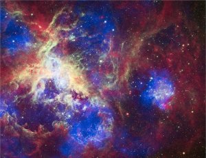 tarantula nebula